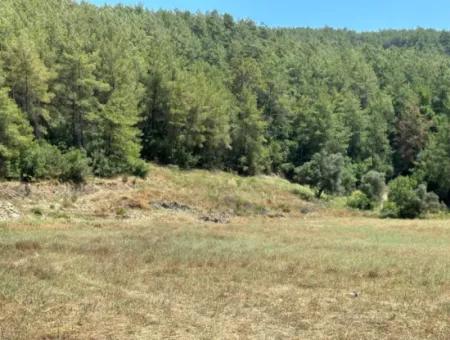 Zoniertes Grundstück Zum Verkauf In Çıtlık