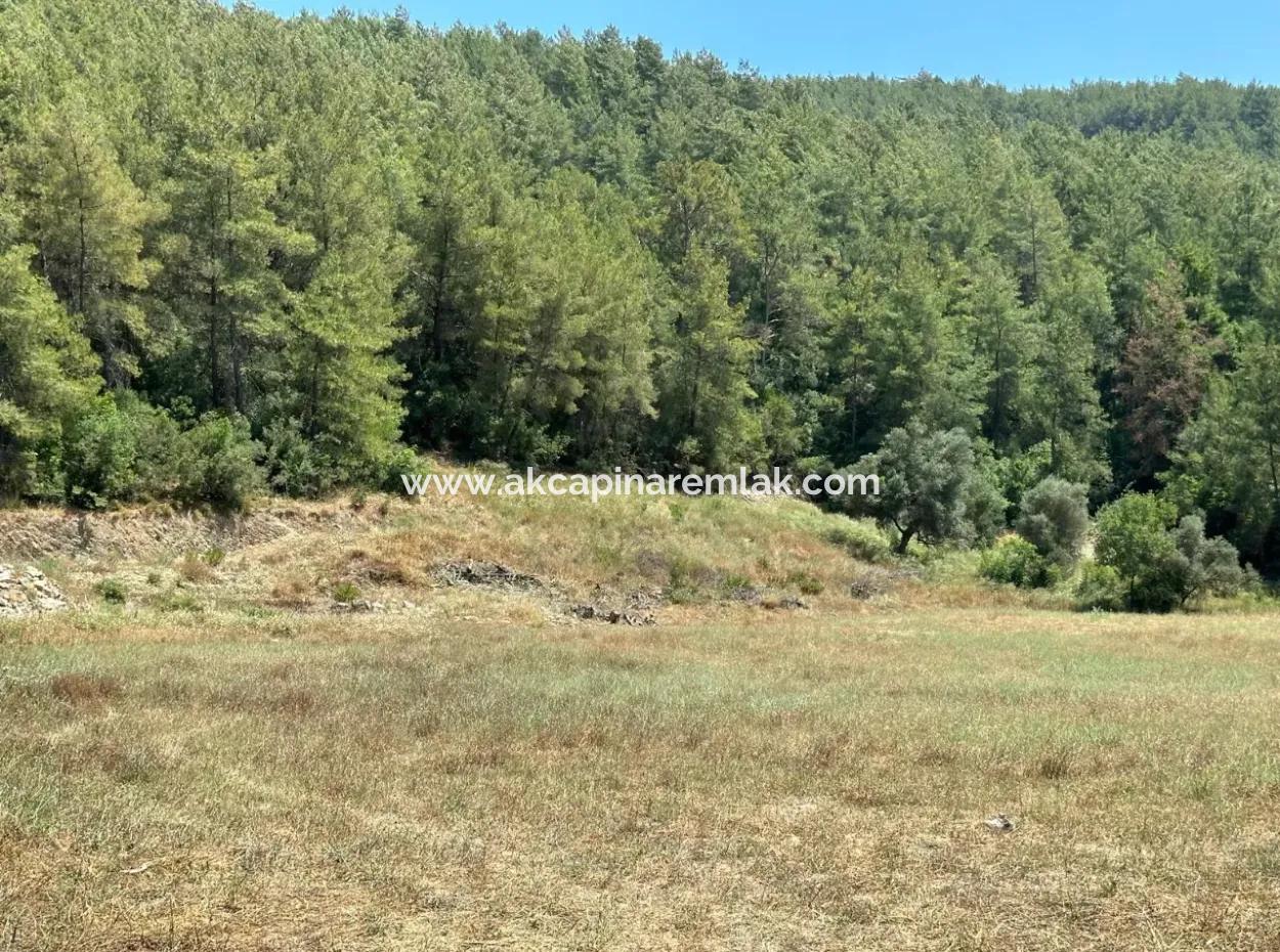 Zoned Land For Sale In Çıtlık