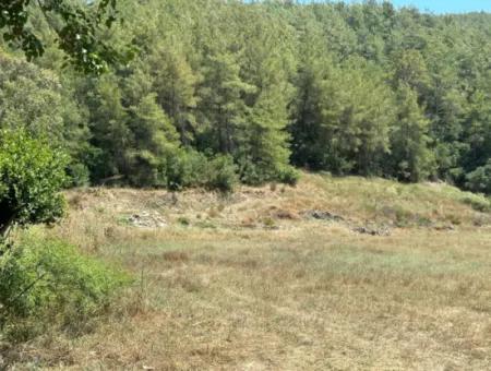 Zoned Land For Sale In Çıtlık