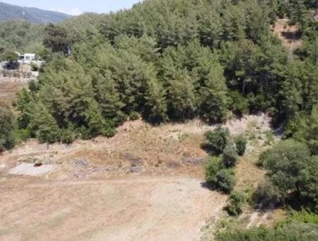 Zoned Land For Sale In Çıtlık